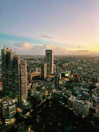 Tokyo’s Skyline Splendor at Sunset