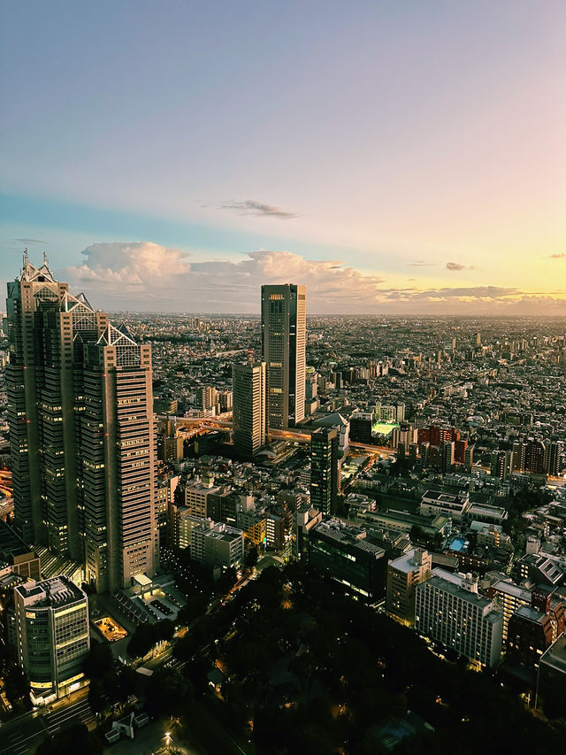 Tokyo’s Skyline Splendor at Sunset