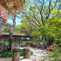 大韓仏教曹渓宗 吉祥寺 