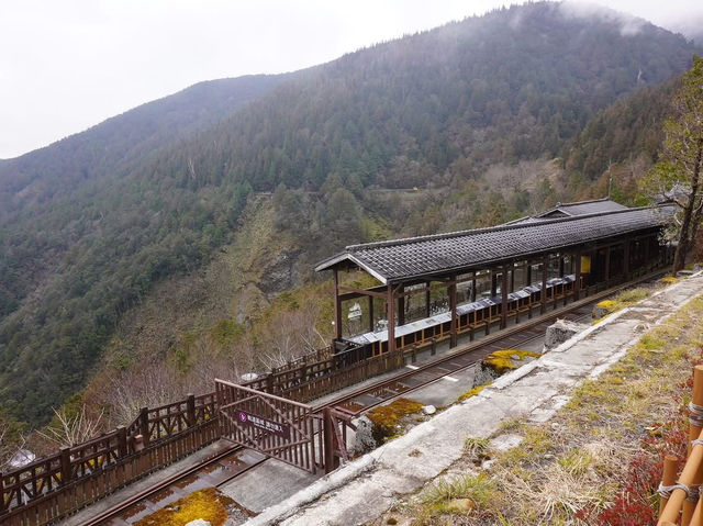 太平山國家森林遊樂區