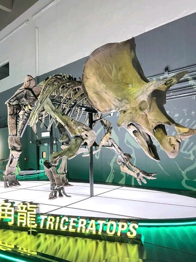 Discover the wonders of science at the Hong Kong Science Museum