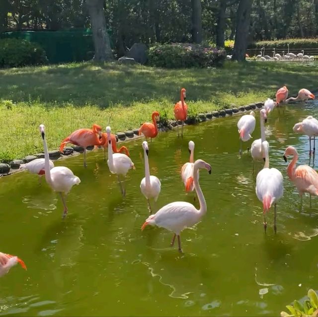福岡好去處