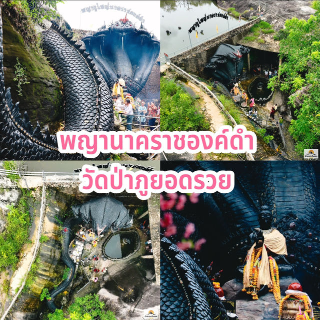 พญานาคราชองค์ดำ วัดป่าภูยอดรวย 