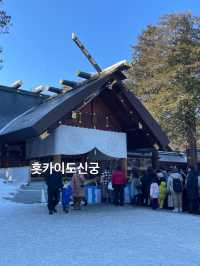 삿포로 겨울여행지 추천드립니다!