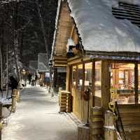 Snowboarding Bliss at Furano Ski Resort🏂❄️