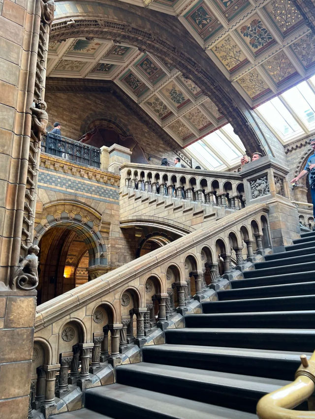 Natural history museum London 
