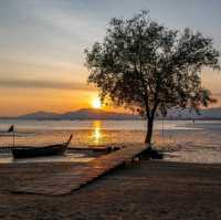 The Mangrove by Blu Monkey ภูเก็ต 
