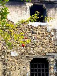 Discovering Longmen Ancient Town
