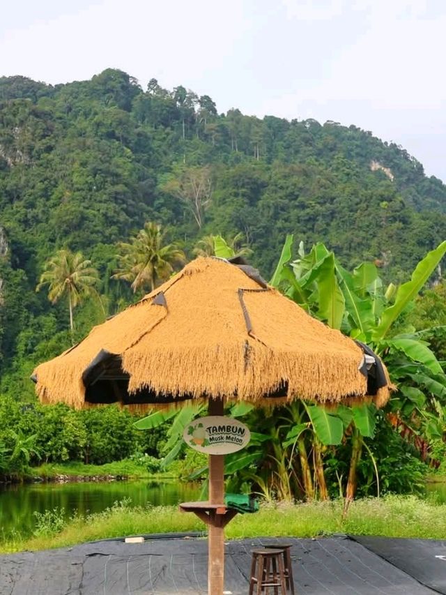 Tambun Musk Melon Agro Farm