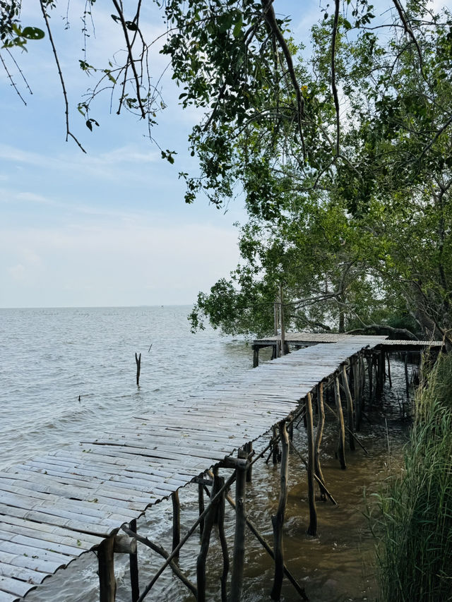 5 ที่เที่ยวสายธรรมชาติ พัทลุง ที่ต้องไปเช็กอิน