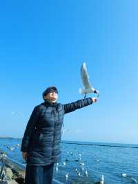 大理市6日遊行程推介