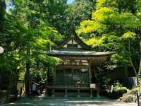 寶登山神社✨山の神々が見守るパワースポット⛩🍃