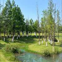 大自然的懷抱 | 樓村濕地公園