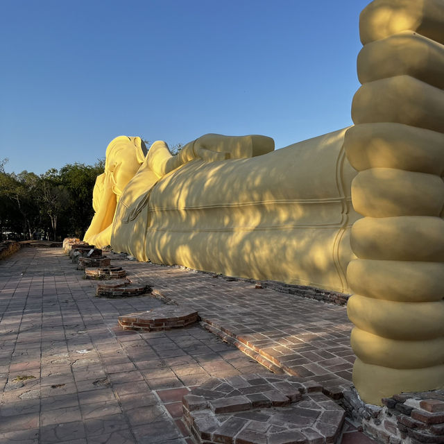 タイ旅行🇹🇭アユタヤ遺跡と像乗り体験