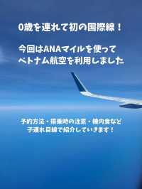 【ANAマイル利用】０歳子連れベトナム航空の使い方