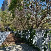 惠安公園～綠植綠洲