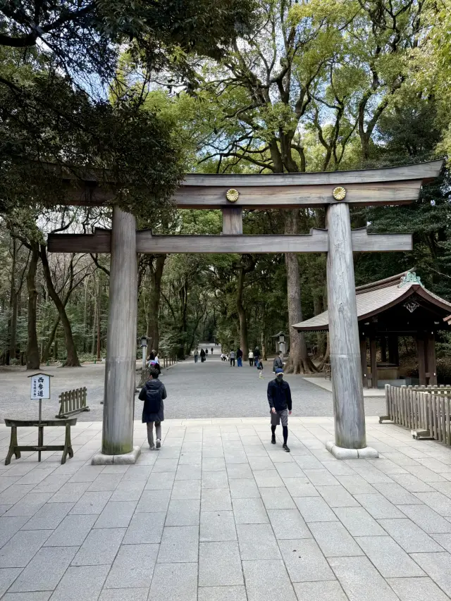 The Perfect Stroll: Meiji Jingu & Jingu Gaien
