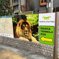 Tennoji Zoo (天王寺動物園) – A Relaxing Family-Friendly Attraction