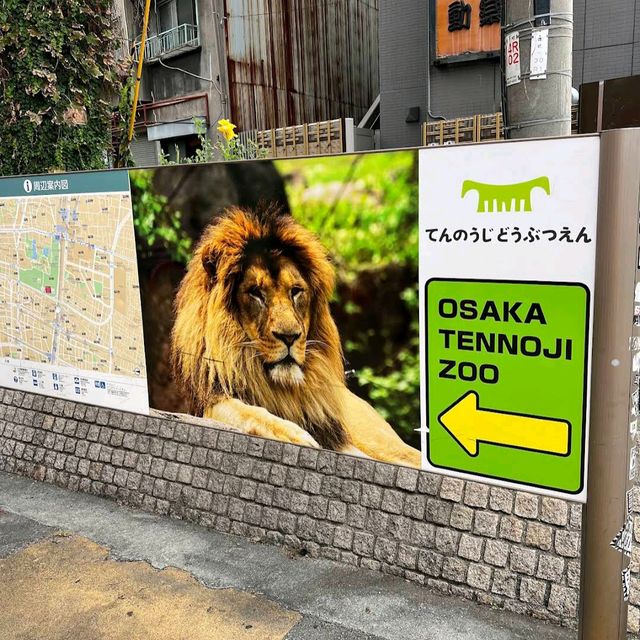 Tennoji Zoo (天王寺動物園) – A Relaxing Family-Friendly Attraction