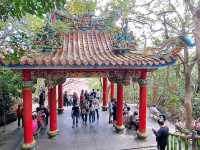 到內湖碧山巖觀景台賞櫻花