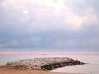 หาดแหลมเจริญ