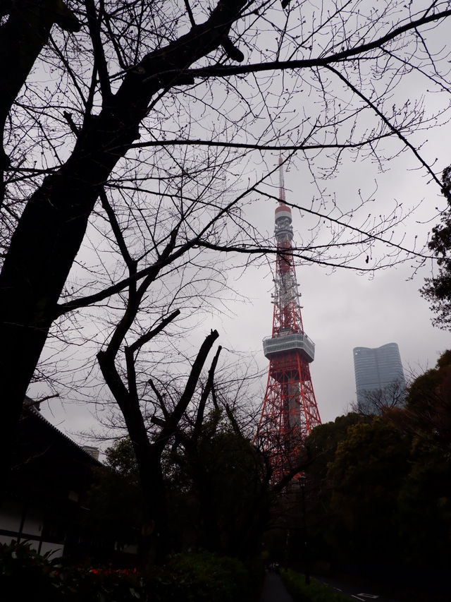 Walk to…Tokyo Tower