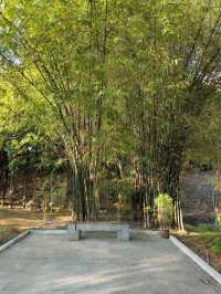 A Peaceful Stroll Through a Hidden Gem