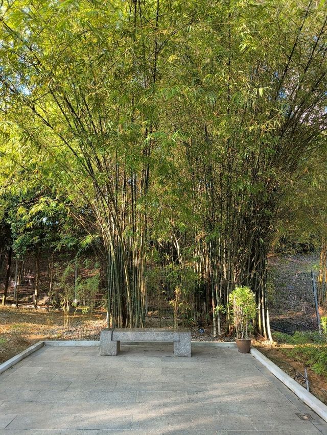 A Peaceful Stroll Through a Hidden Gem