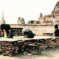 Timeless Wonder at Wat Mahathat