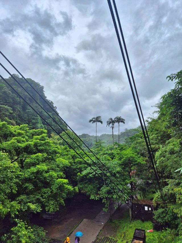 대만 타이베이 근교여행 : 웅장한 물줄기 스펀폭포🏞