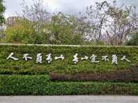 深圳香蜜公園：城市中的綠意天堂 🌳🌺