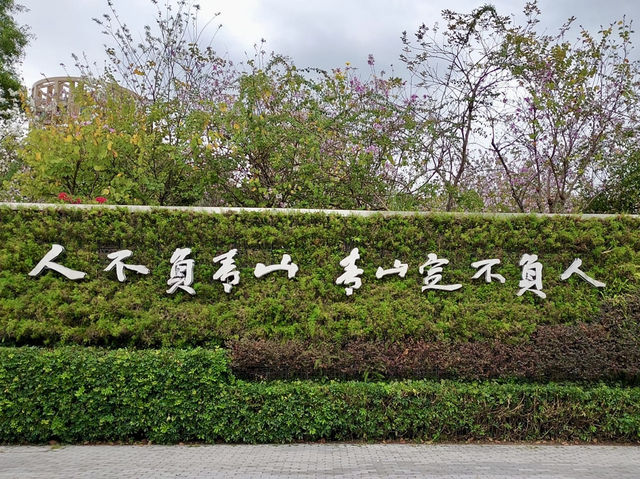 深圳香蜜公園：城市中的綠意天堂 🌳🌺