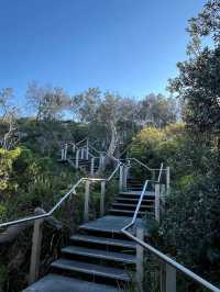 Sydney Harbour National Park Gap Bluff