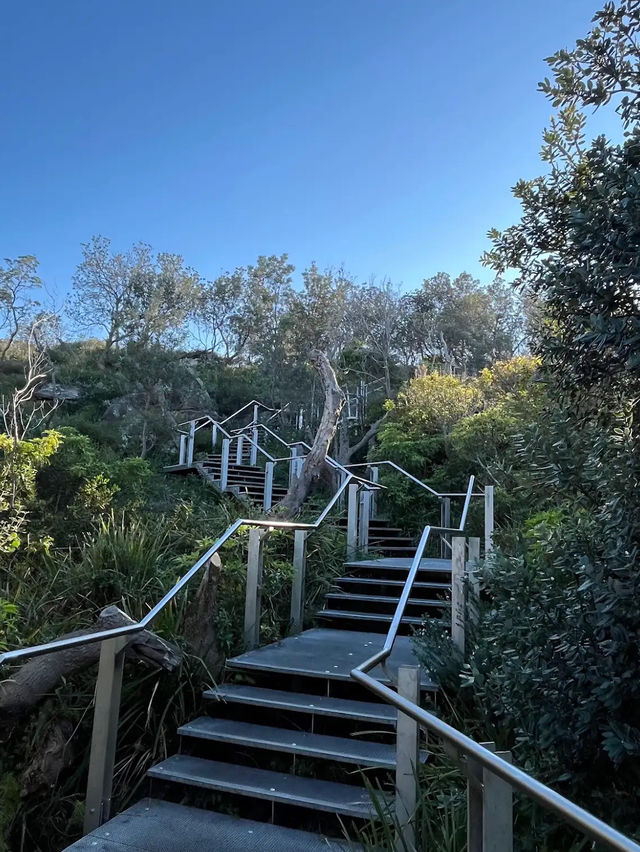 Sydney Harbour National Park Gap Bluff