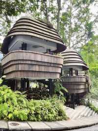 Tree house cafe at ubud