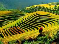 "Yuanyang Rice Terraces: A Masterpiece of Nature and Culture"