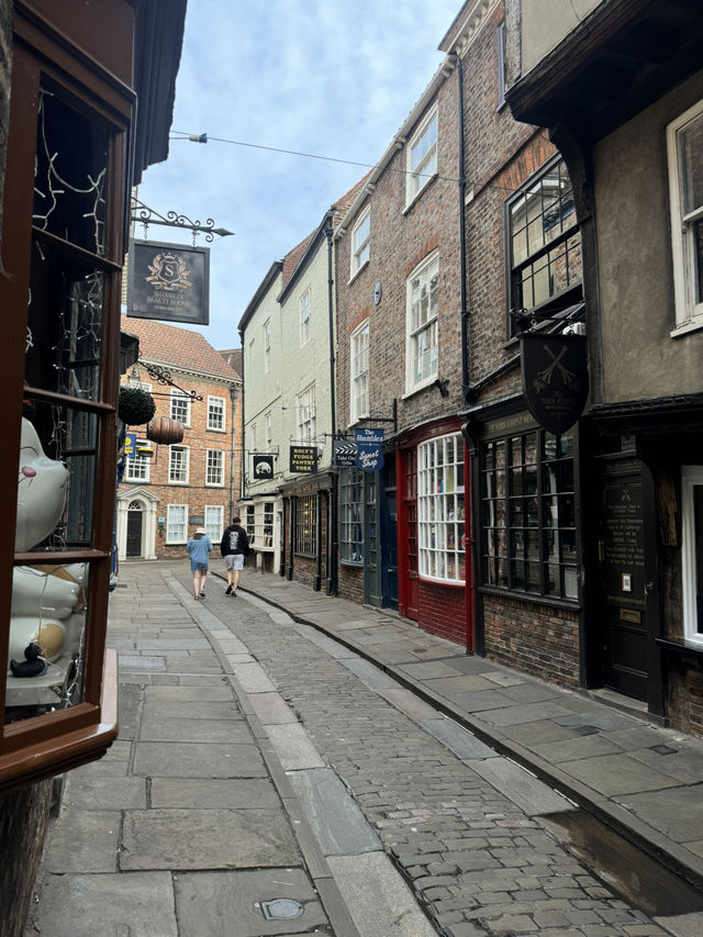 🌸 Springtime Magic in York