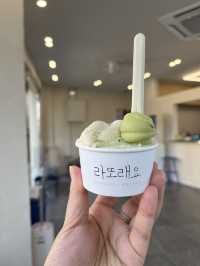 혼자서도 알차게 즐기는 속초 뚜벅이 1박2일 코스✨