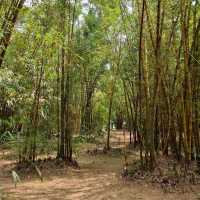 大安森林公園 (Daan Forest Park)