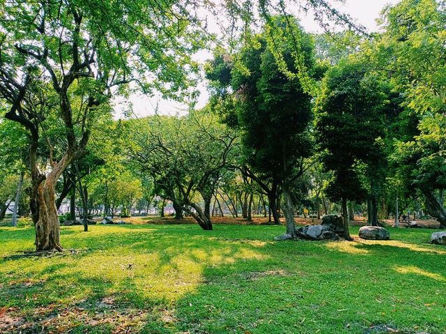 泰國曼谷市中心素坤逸區城市綠洲公園一日遊行程，親子遊行程，素坤逸繁華大道，適合打卡拍照📸親子遊