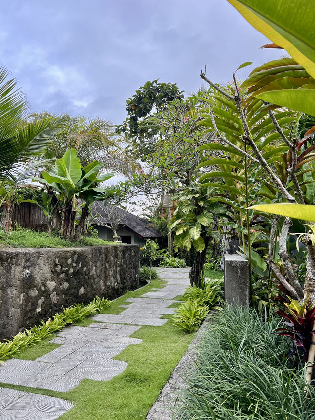 Spring in Ubud: Surrounded by Nature🌺