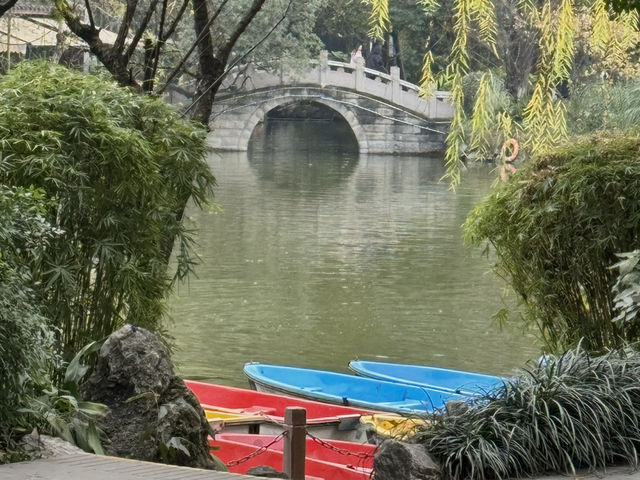 A Taste of Chengdu's Leisure Culture at People's Park
