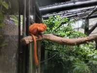シンガポール動物園攻略！！