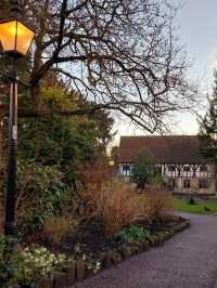 Museum Gardens 