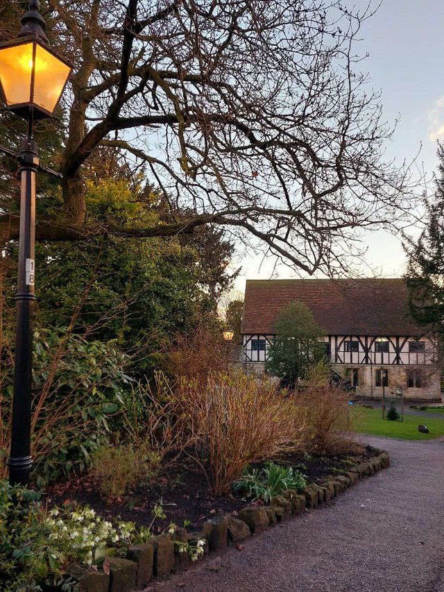 Museum Gardens 