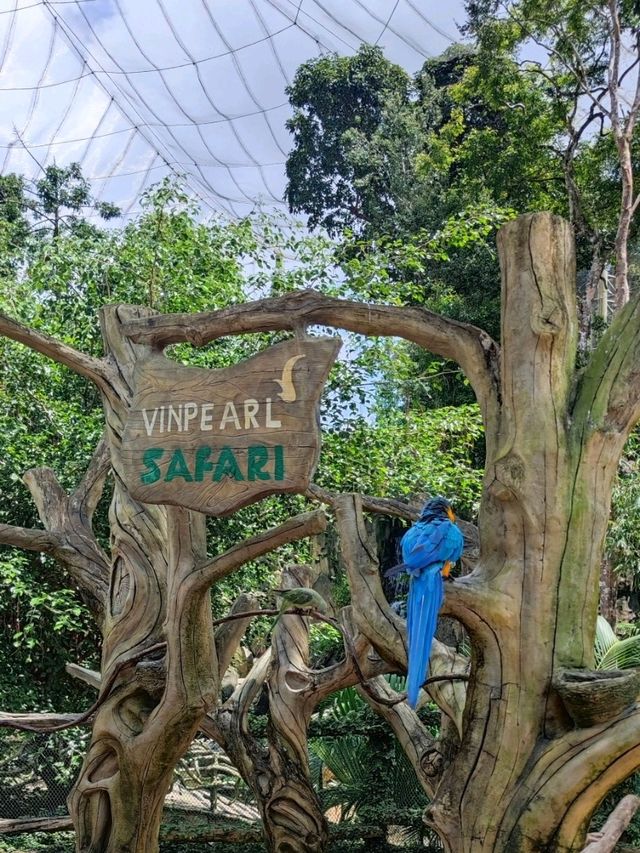 #珍珠野生動物園（Vinpearl Safari Phu Quoc）-越南富國島
