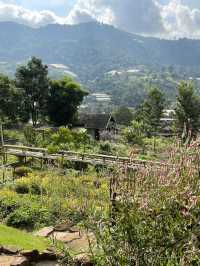 Mori Natural Farm ฟาร์มไตล์ญี่ปุ่น น่ารักมากกกก