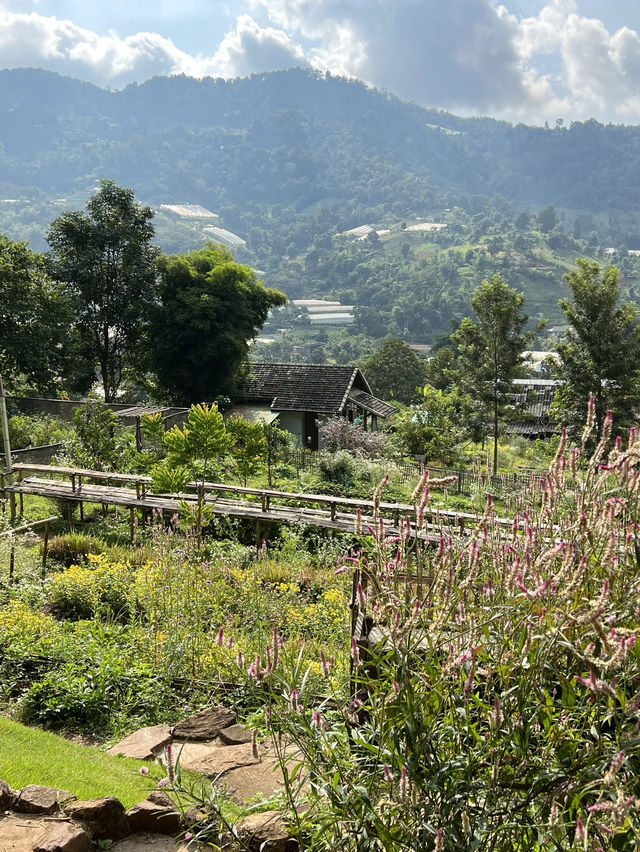 Mori Natural Farm ฟาร์มไตล์ญี่ปุ่น น่ารักมากกกก