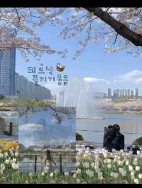 김해연지공원 다녀왔습니다🎶