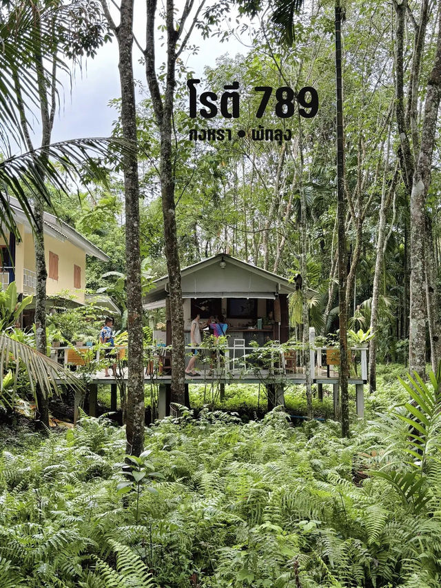 โรตี 789 ร้านโรตีในสวนยาง ที่กงหรา พัทลุง